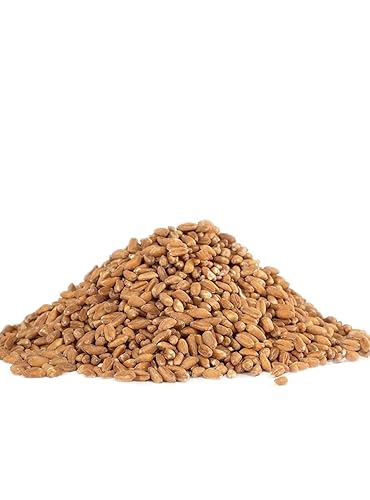 Miniatura 8 de Bob's Red Mill Grano Farro orgánico, 24 onzas (paquete de 4)