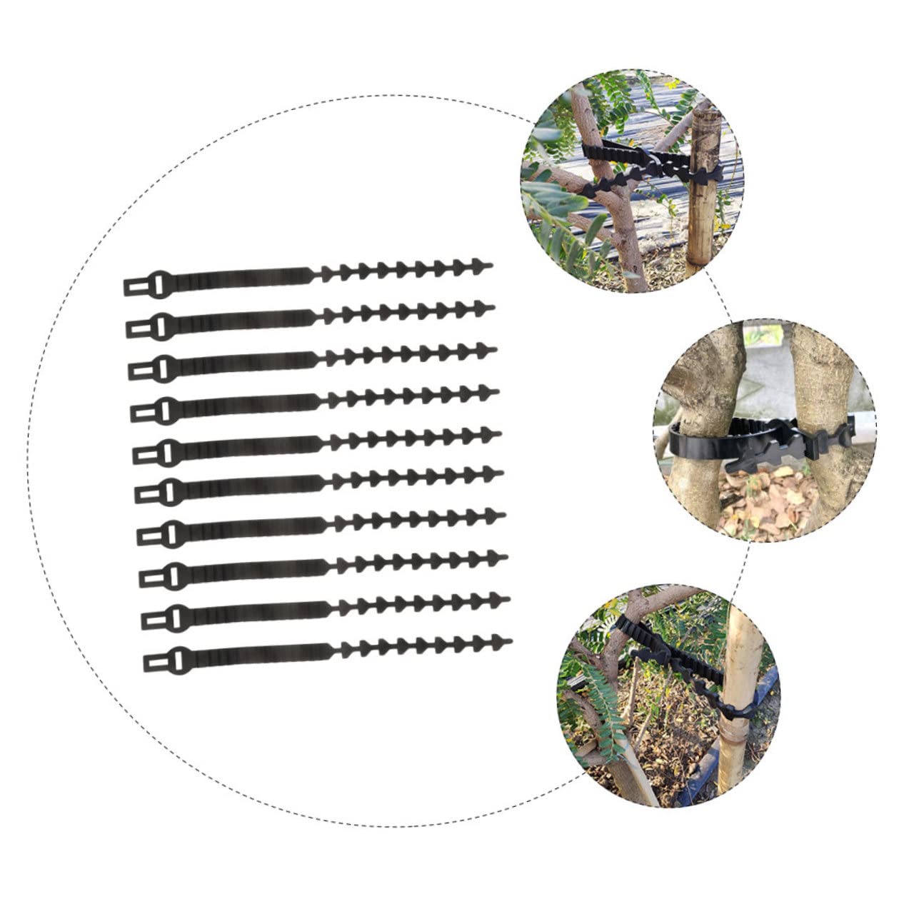 Yardwe Astbinder aus Gummi 10 Stück Flexibel Schwarz für Bäume | Geeignet für Pflanzen und Bonsai, zum Fixieren von Ästen und Setzlingen