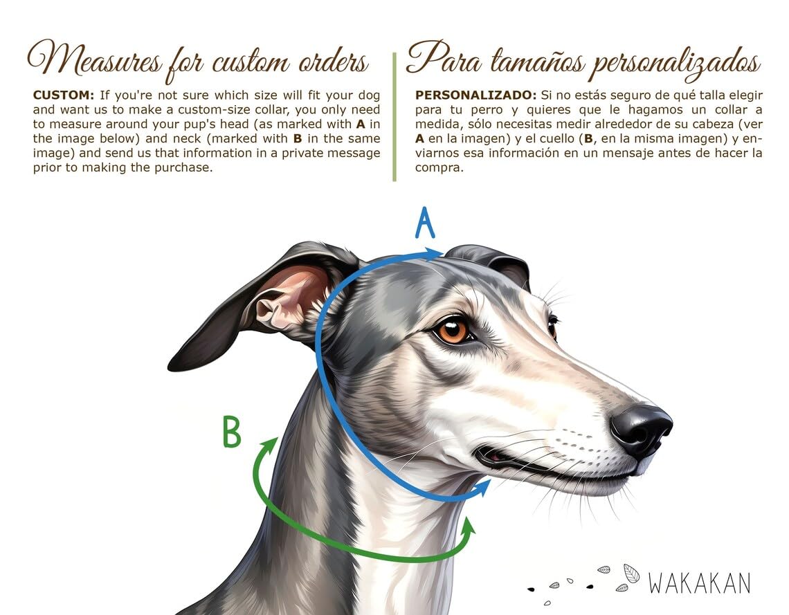 Collare per cani martingale: Nightfall, fatto a mano in Spagna da Wakakán