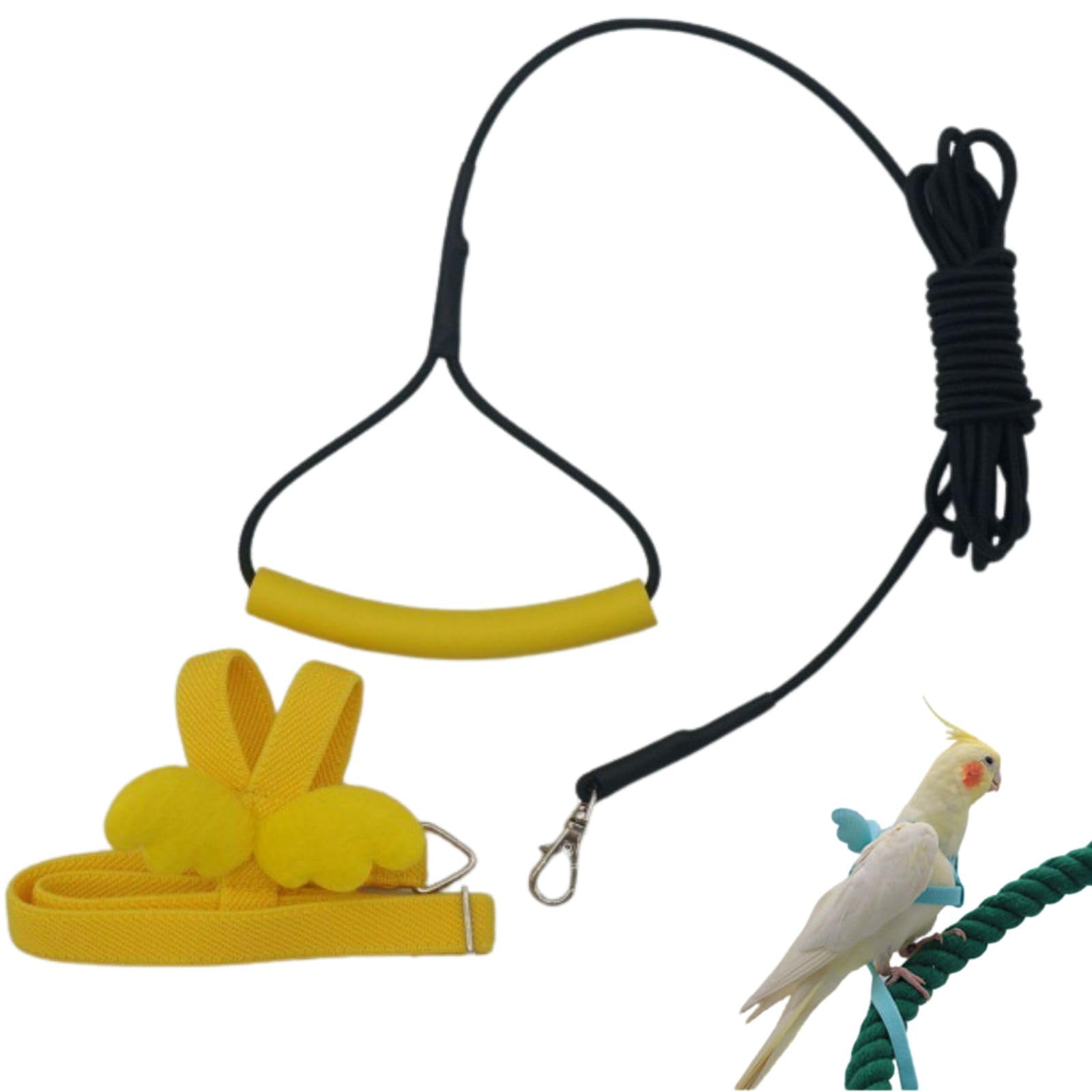 Latex Elastic Bird Harness POPETPOP Bird Harness And Leash For Parrots ...