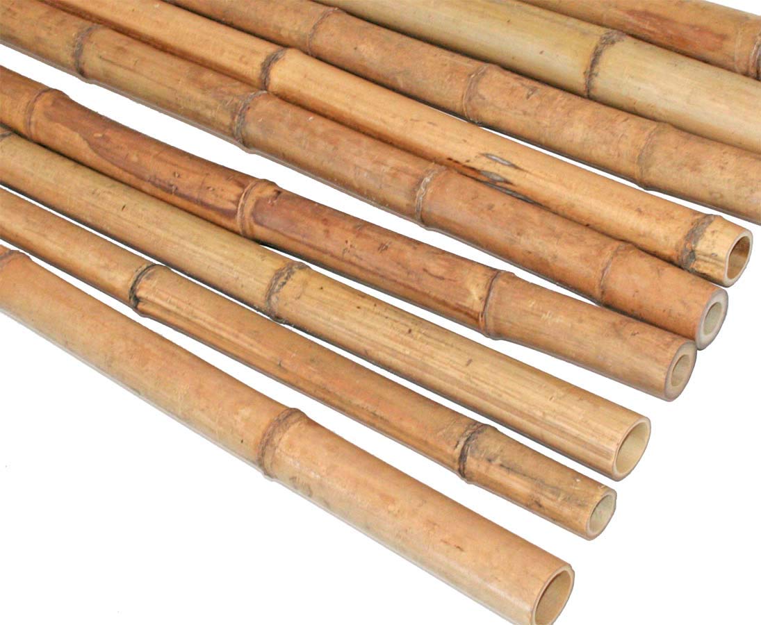 Madake Bambusrohr gelbbraun 150cm Durch. 2,5 bis 4cm, unbehandelt getrocknet von bambussi.com
