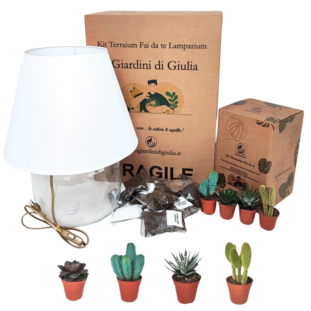 Kit Terrarium Lamparium Grande con Piante Grasse | Vaso in Vetro Ø23,5 cm con Paralume Incluso | Include Substrati, Accessori e Terrario Fai-da-Te