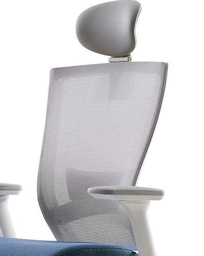 Amazon.com: SIDIZ T50 Ergonomic Office Chair : High Performance