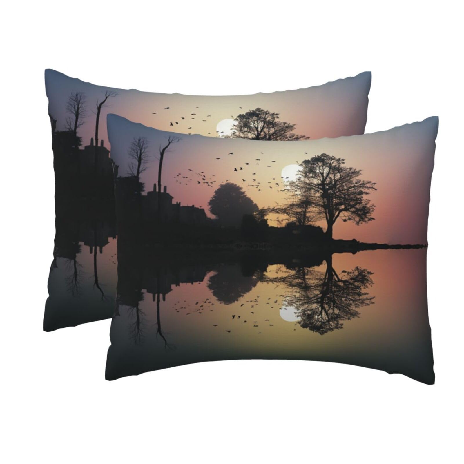 2 Pack Standard Pillow Cases with Hidden Zipper, Soft Breathable Pillow Covers for Hair and Skin, Reflection Guitar Pillowcases 20"x26" Bed Pillow Protectors Cover for Sleeping Gifts