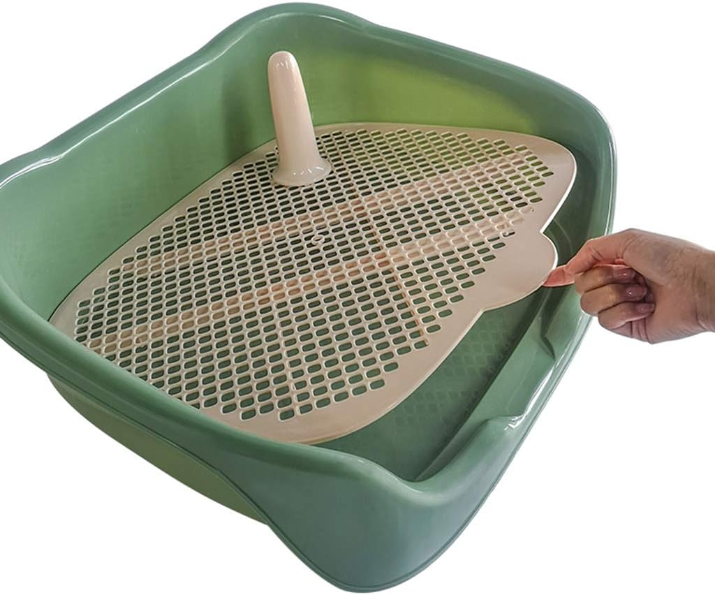 Puppy Potty Pet Litter Box, Indoor Training Dog Restroom Toilet Tray, Plastic Urine Pad Holder with Pee Post, Fence Removable Easy to Clean,Green,55X46x17cm : Pet Supplies