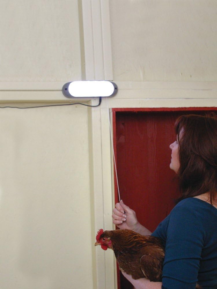Bronze Solar Powered LED Area Light with 10 Bulbs