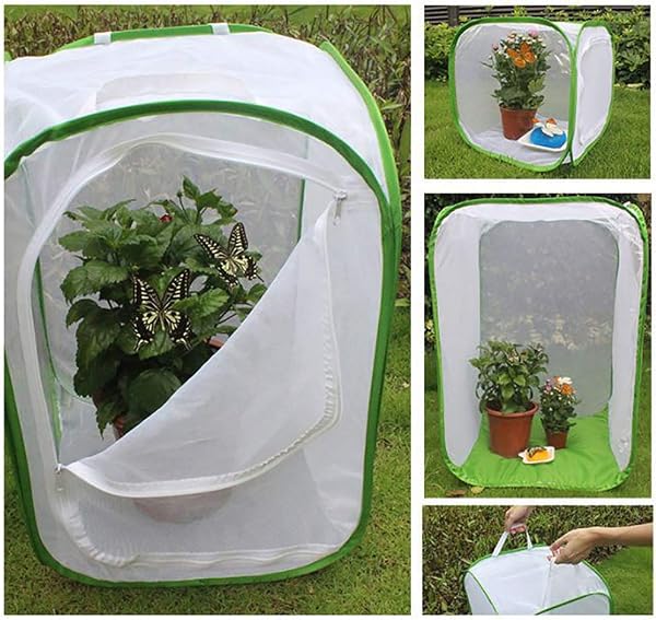 ARTOCT de Cage d'insectes, Tente de Serre végétale, Cage d'habitat d'insectes et de Papillon Cage de logement d'insectes Cage d'élevage avec Fermeture à glissière - 3