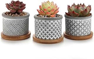 T4U doniczka na sukulenty, 6 cm, betonowa, szara, 3-częściowy zestaw z podstawką, mini donica na rośliny, na kaktusy, kwiaty, do ogrodu, biura, na biurko, dekoracja, prezent na urodziny, wesele, Boże Narodzenie