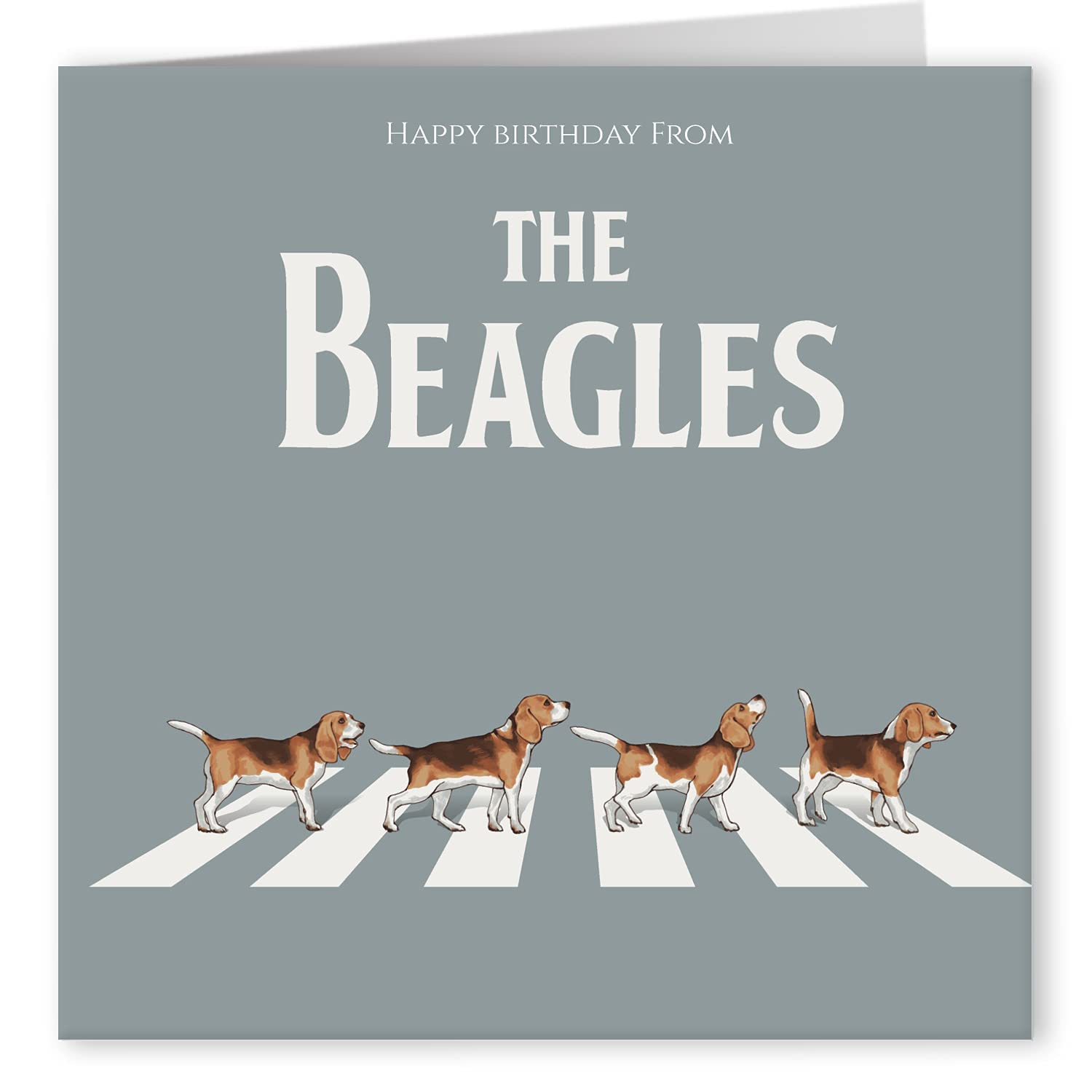 Buy Cult Kitty The Beagles Joke Happy Birthday Cards For Him
