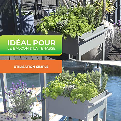 Chariot à fleurs Steinfurt Bio Green gris 55x80 cm pour jardin