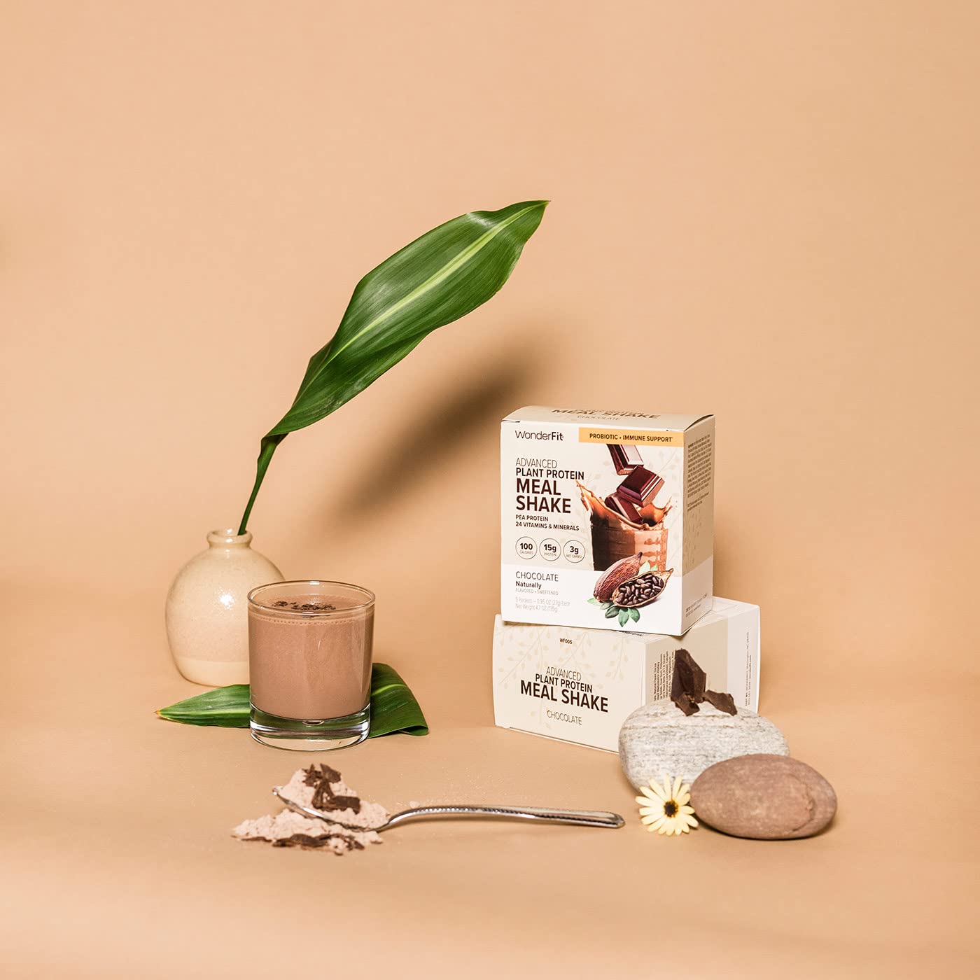 Buy WonderFit By WonderSlim Plant Based Pea Protein Meal Replacement