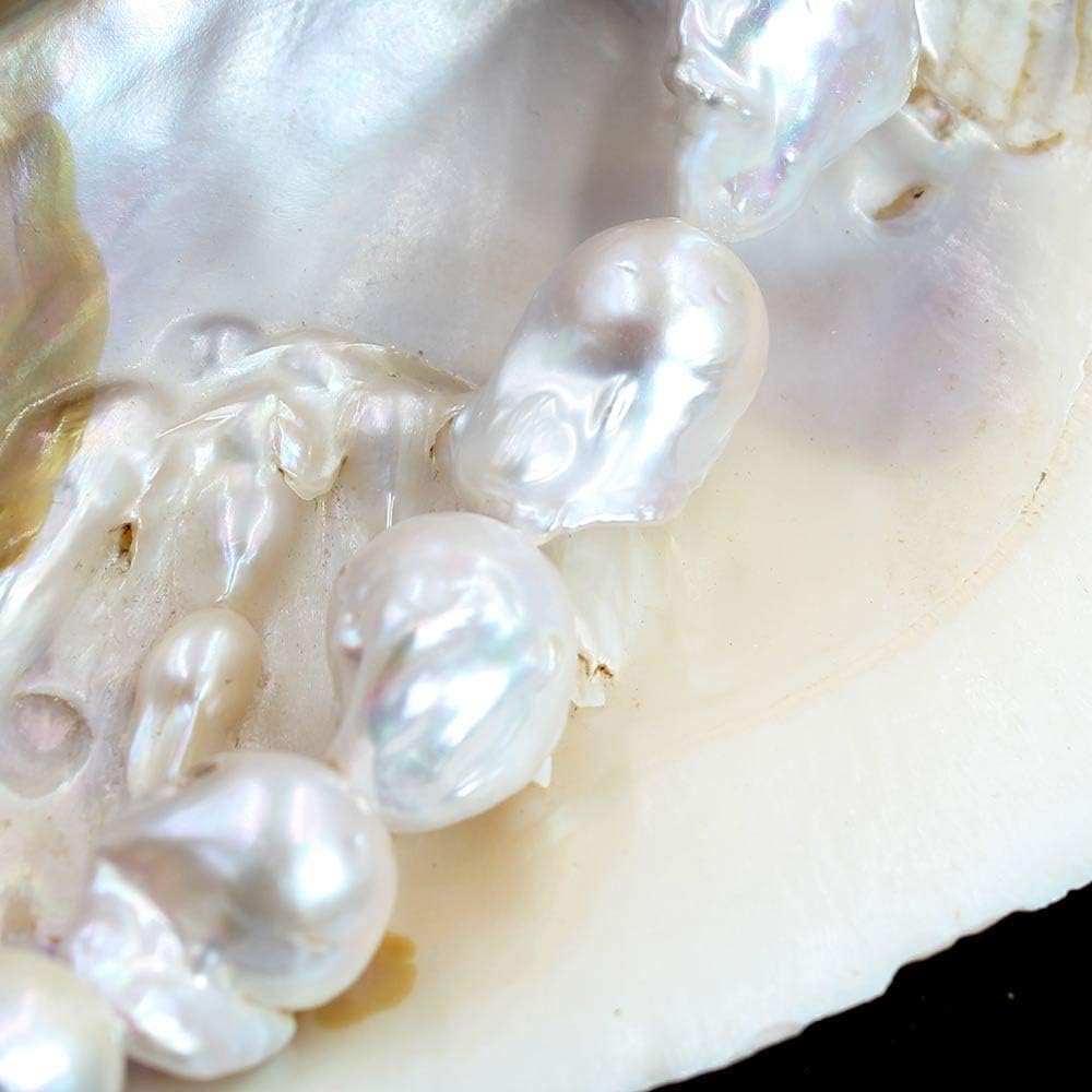 Natural 3A Perfect 20x25mm Baroque Reborn White Freshwater Pearl Jewelry Beads Strand 15" Natural Stone for Necklace Bracelet DIY Design