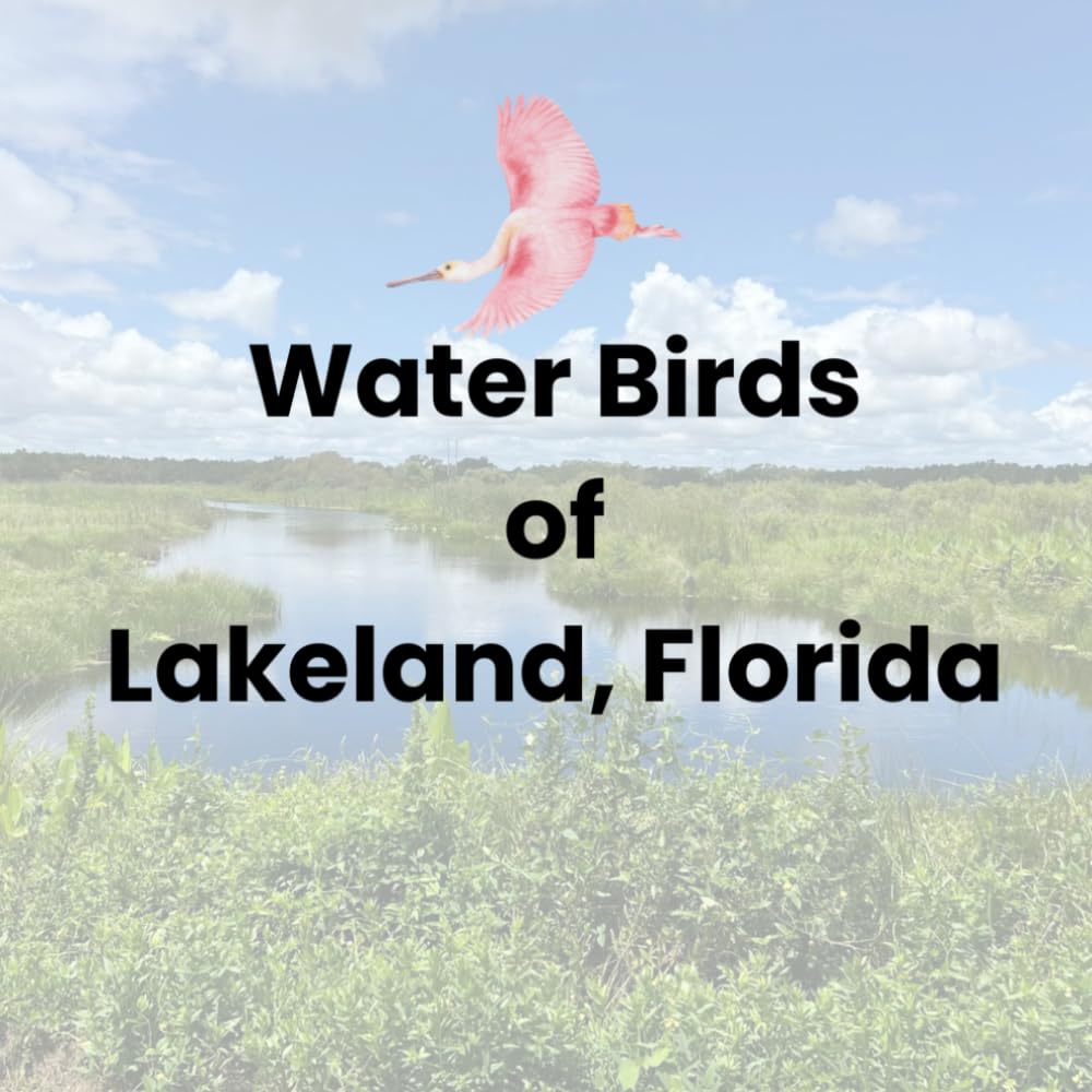 Water Birds of Lakeland, Florida