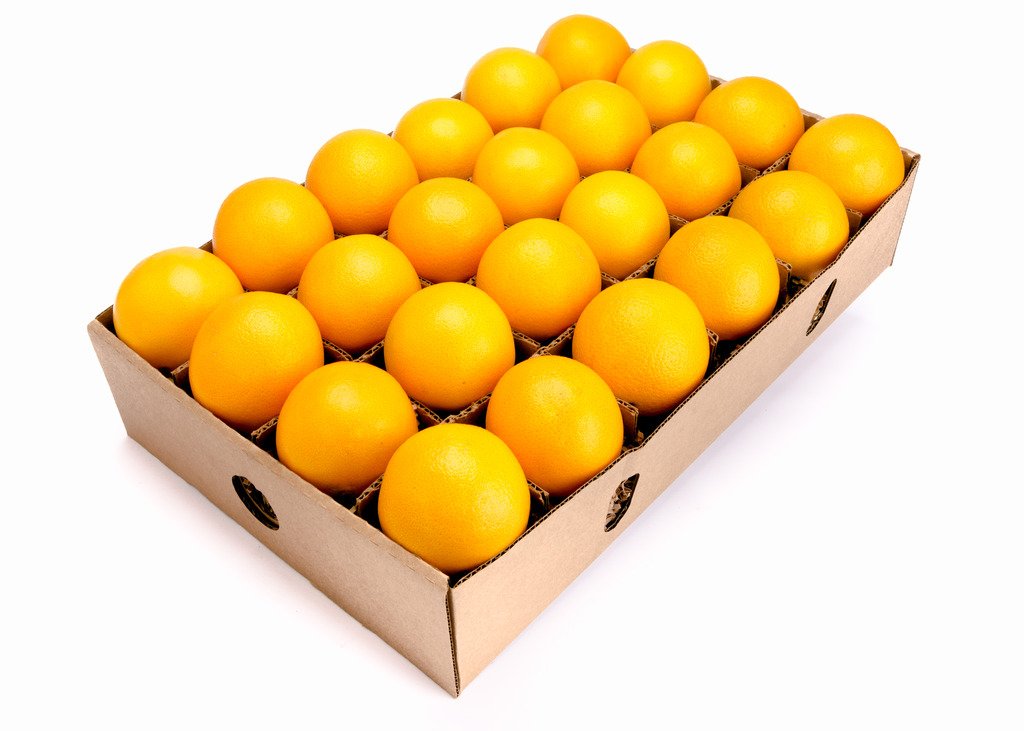 FruitShare Organic Navel Oranges - 10 lbs Juicy, Sweet USDA Organic from Small Farmers