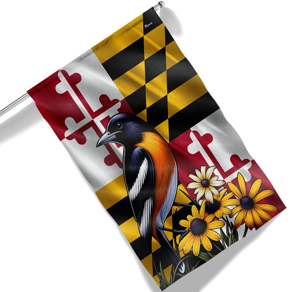 Amazon.com : FLAGWIX American Flag-Maryland State Baltimore Oriole