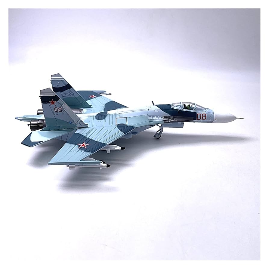 Amazon.co.jp: 1:100 スケール Su 27 フランカー ファイター