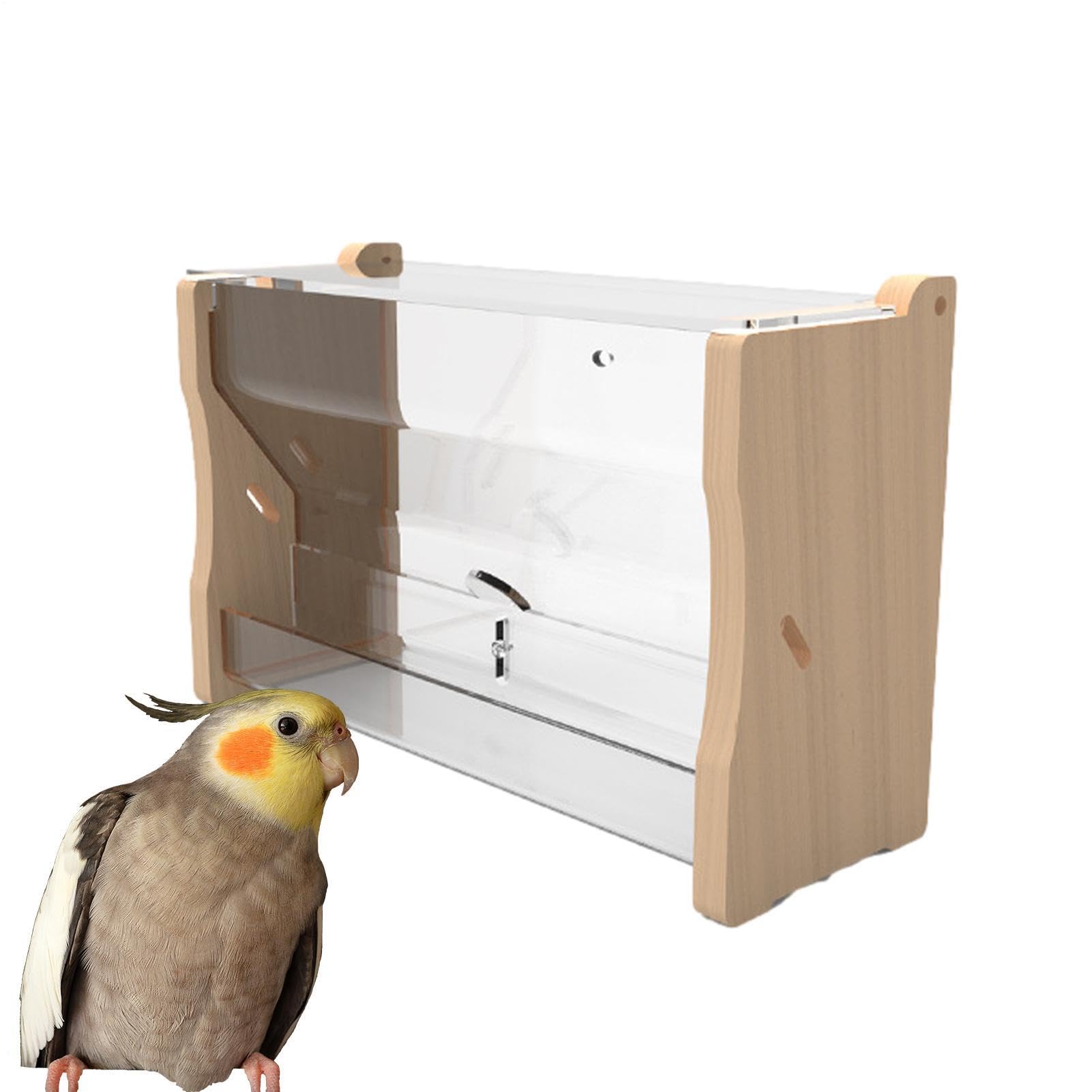 No Waste Quail Feeder,Duck Water Feeder Distributeur d'eau pour Oiseaux, | Mangeoire à poulet Distributeur d'eau d'