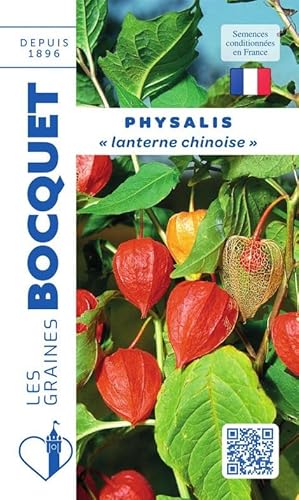Sachet de graines de Physalis - lanterne chinoise - 0,5 g - fleur vivace - LES GRAINES BOCQUET