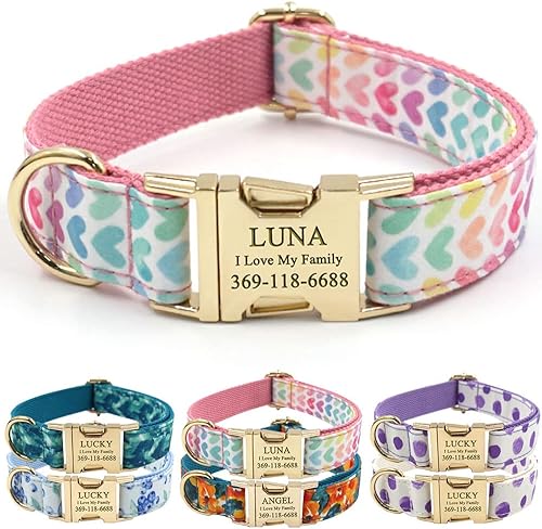 Miniatura 153 de PETDURO Collar de perro personalizado con nombre y teléfono grabado en hebilla de metal – Personalizado para perros medianos y grandes – Impresiones
