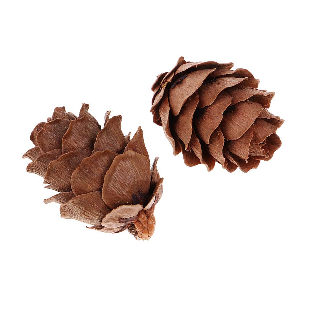 LOVFASHION Pommes de pin naturelles pour décoration de Noël, automne, hiver, vacances, décoration d'intérieur, vase (10 pommes de pin