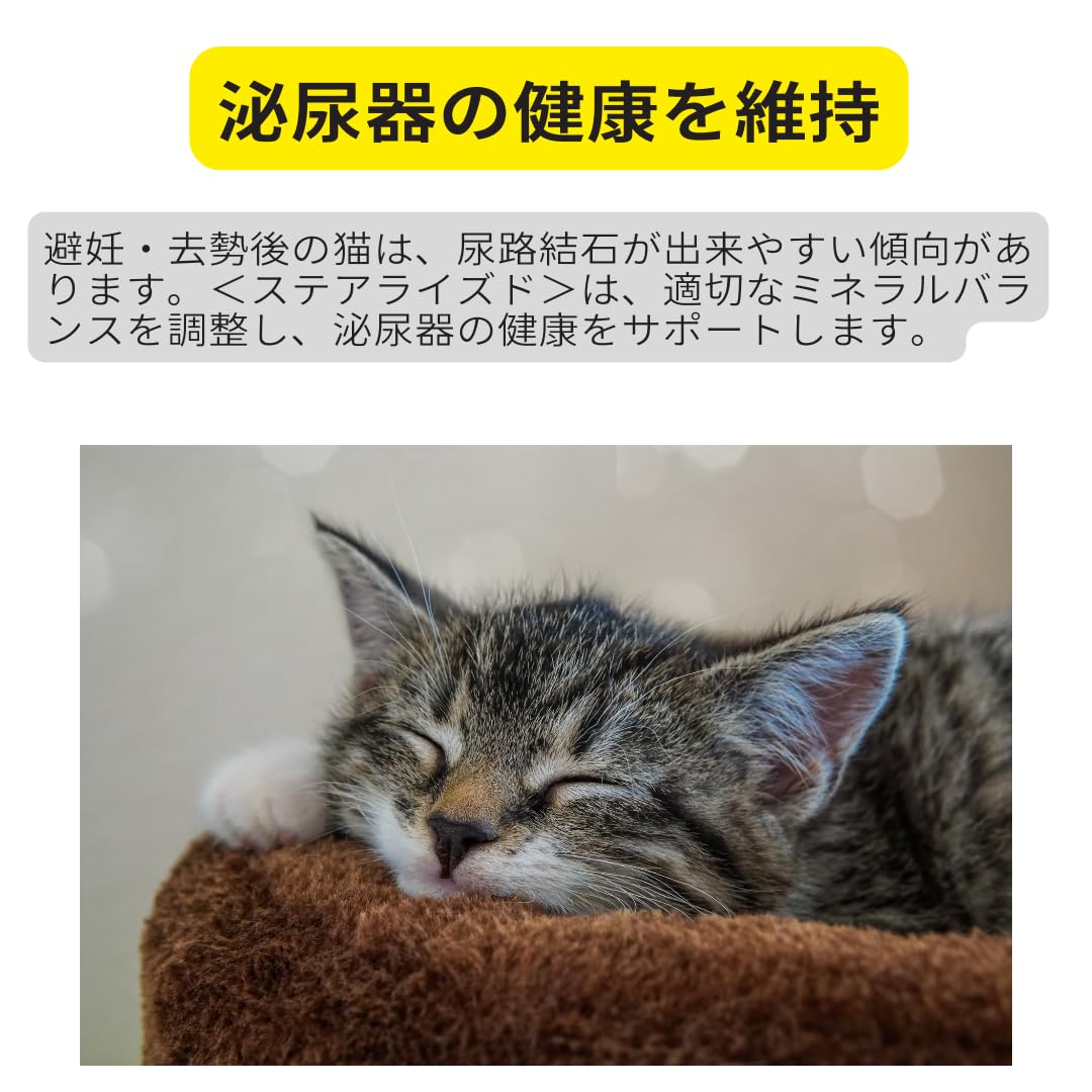 ロイヤルカナンステアライズド（避妊・去勢で太りやすい猫専用フード 成猫用）4kg ロイヤルカナン 【お得な4個セット】ロイヤルカナン エイジング