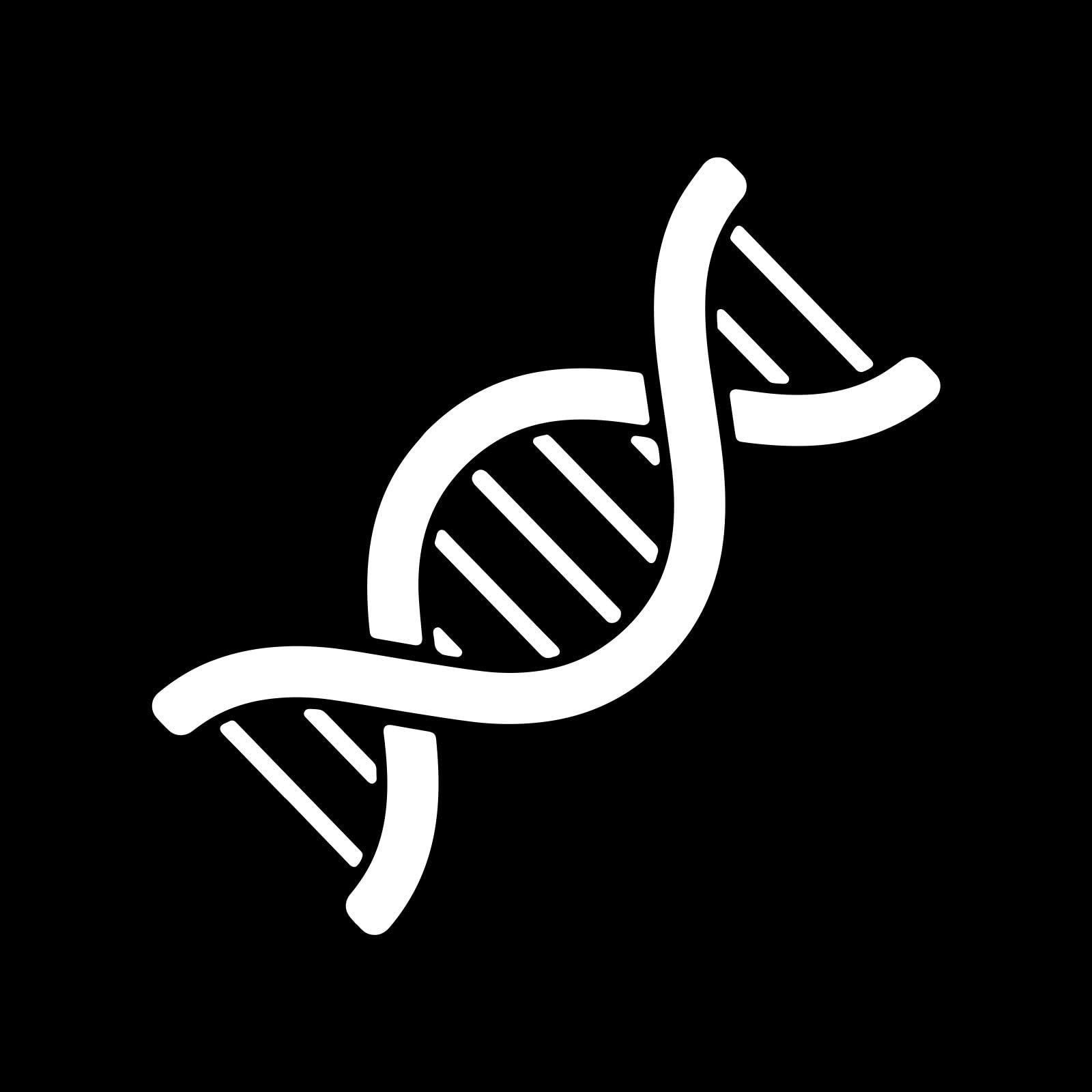 Amazon.com: EvolveFISH Yin Yang Symbol Weatherproof Vinyl Decal ...