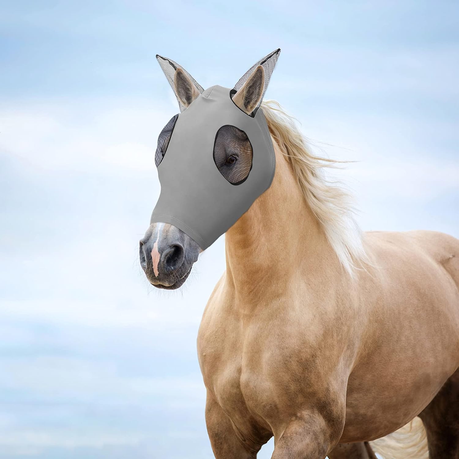 Molain Horse Fly Mask, Fly Masks with Ears Soft Mesh Horse Mask UV Protection Full Size for Pony Cob Horse (Grey) : Pet Supplies