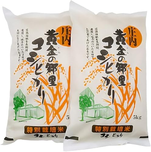 山形県庄内産 精米 体に優しいお米・こしひかり 10kg(5kg×2)×3回 特別栽培米 3回定期便 令和7年産 鶴岡米穀商業協同組合