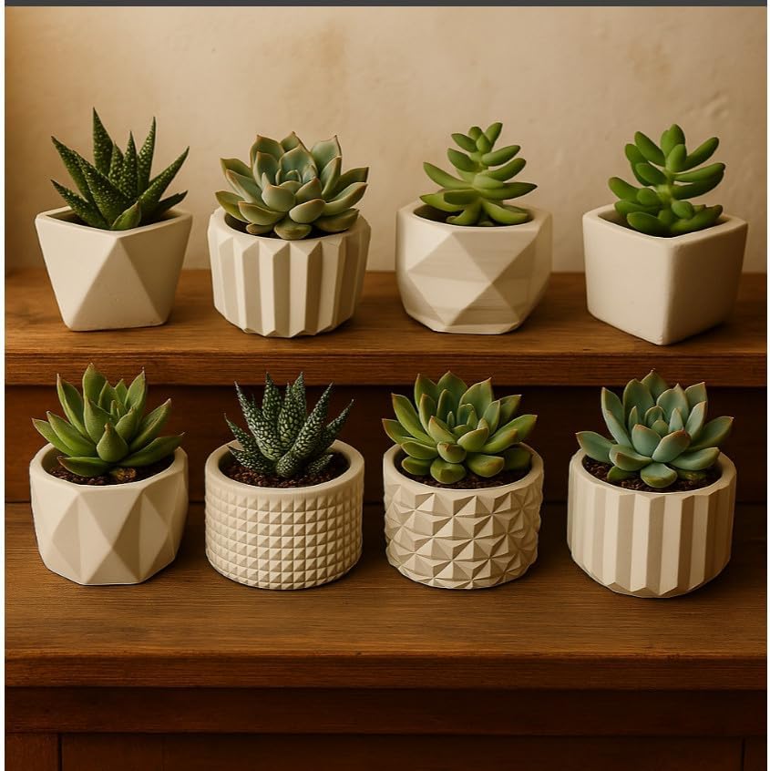 Vasinhos Decorativos com Cactos e Plantas Artificiais - Gesso e D...