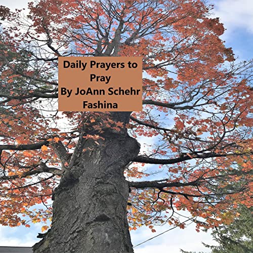 Daily Prayers to Pray by Jo Ann Schehr Fashina episode artwork
