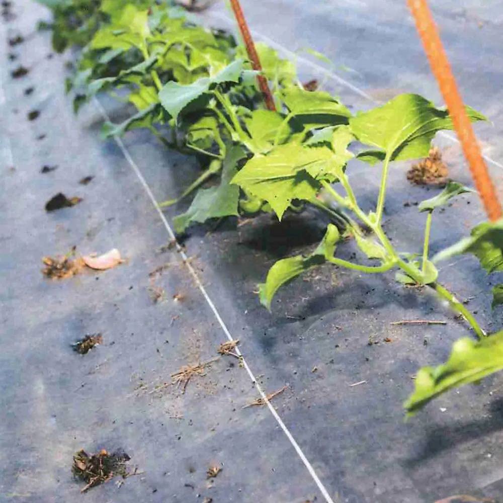 Malla Antihierbas Rollo 100g Tela Anti Maleza para Jardin, huerto (1,05x100m)