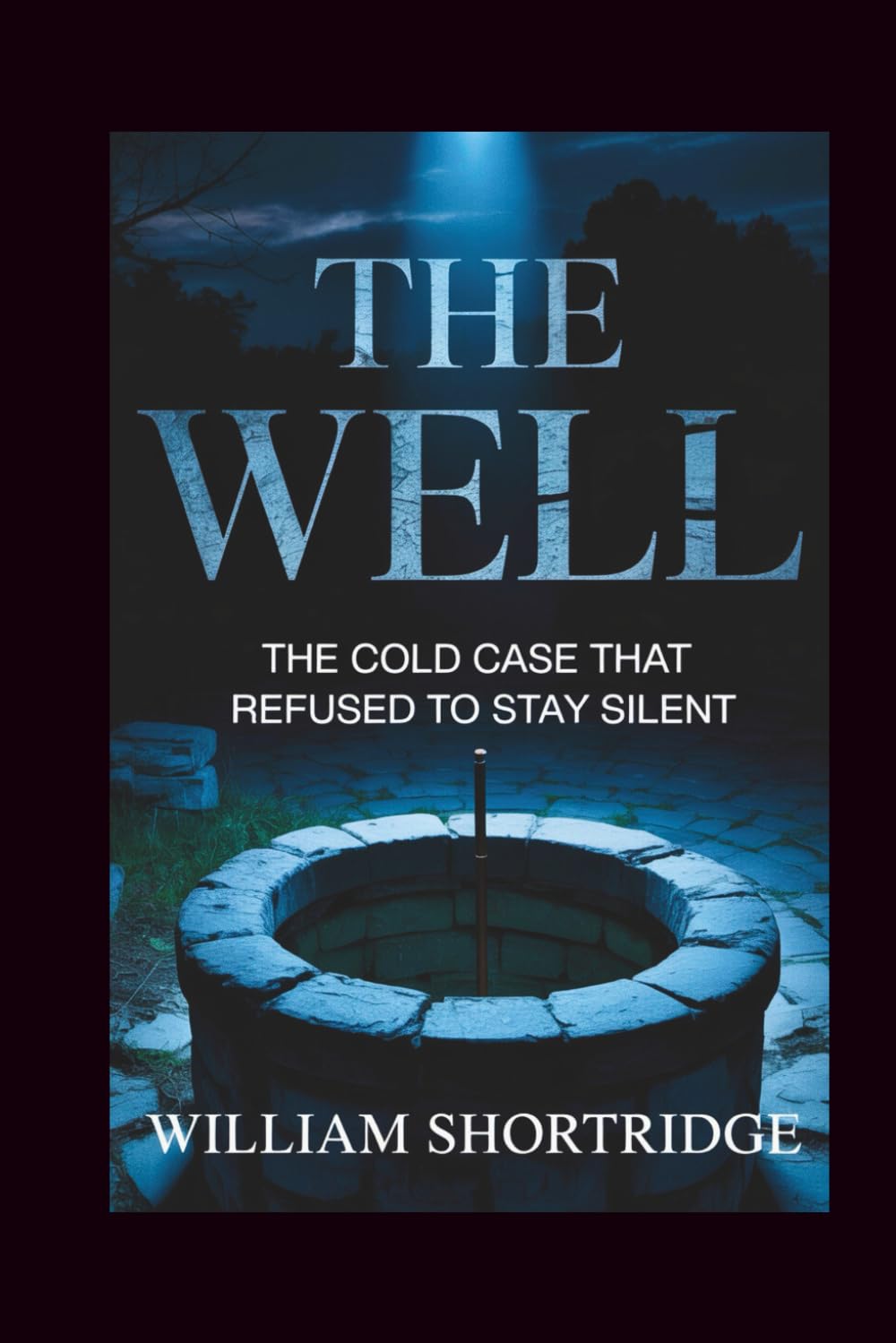 The well: The Cold Case That Refused To Stay Silent