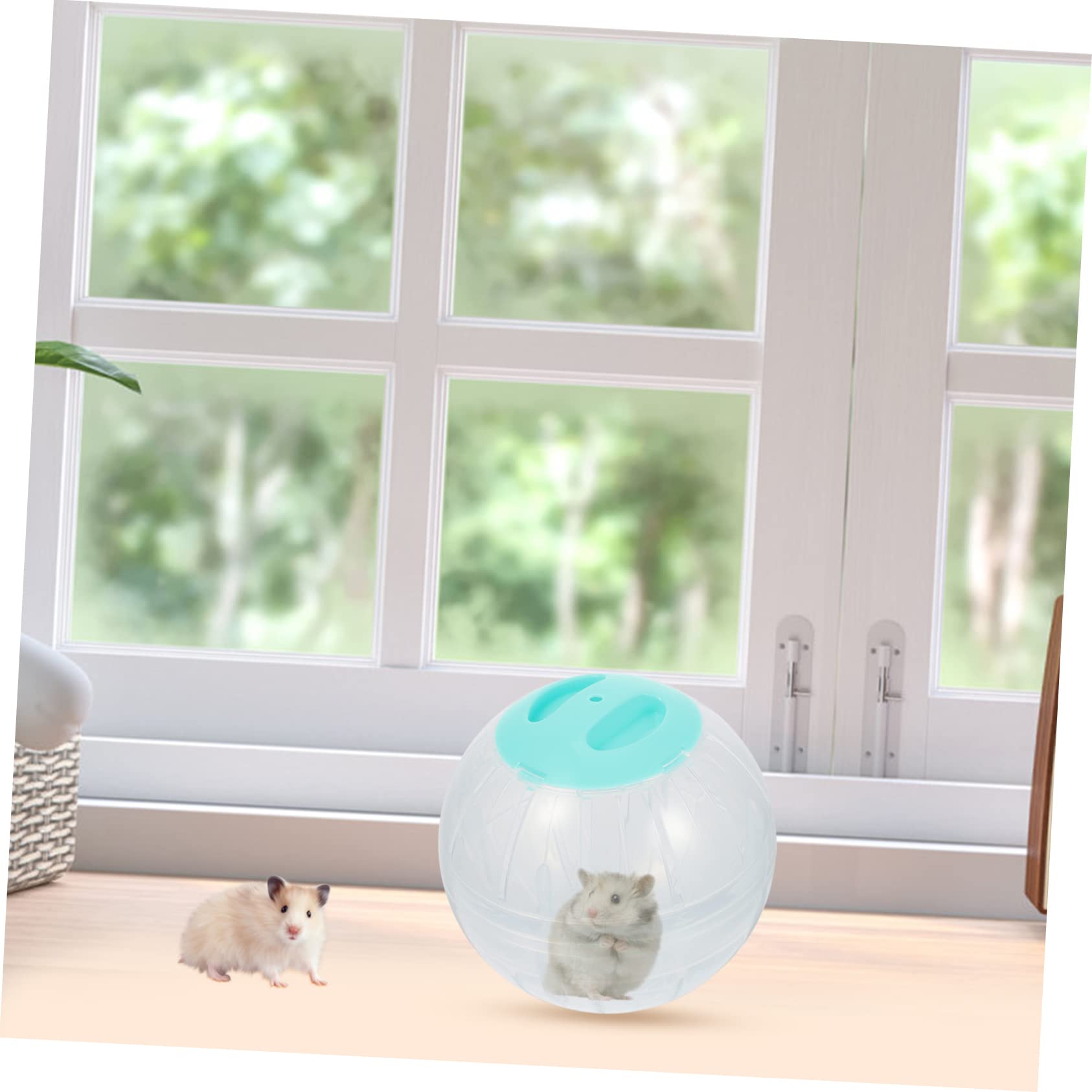 4stücke Hamster Laufbälle Transparente Aktivitätsbälle Für Hamster Und Kleine Haustiere Für Bewegung Und Spielspaß Transparent Fördert Die Fitness Und Langeweile