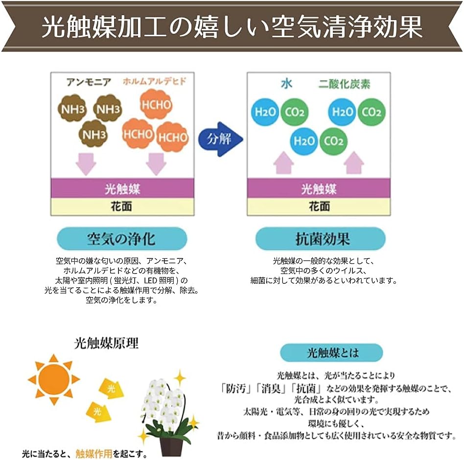 光触媒胡蝶蘭 ３本立 ラッピング有 胡蝶蘭 インテリア お祝い 贈り物 造花 プレゼント