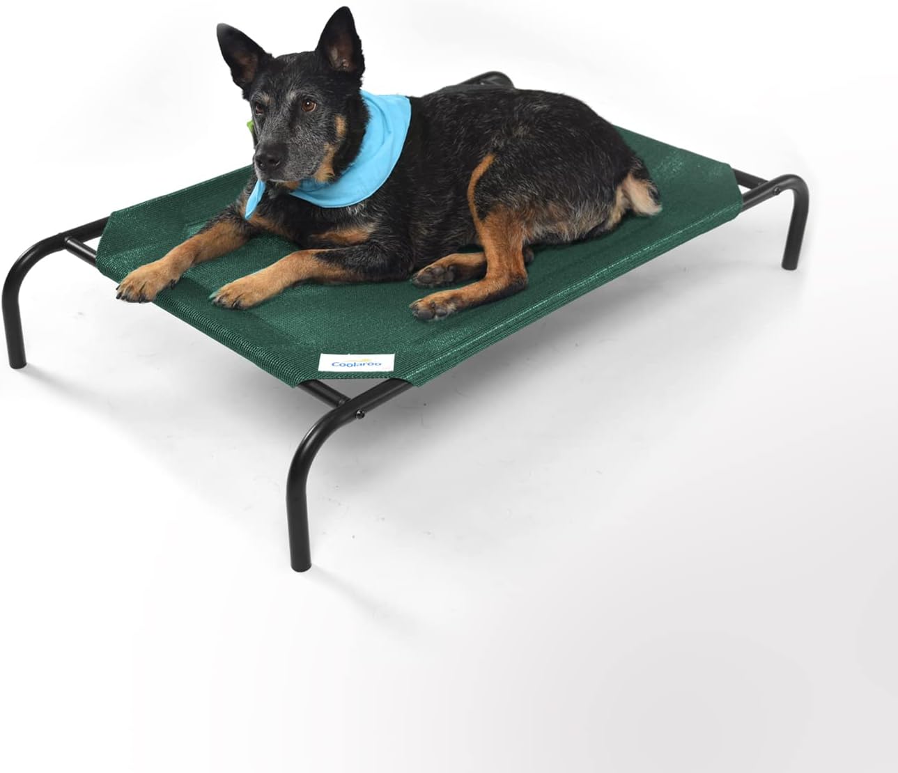 coolaroo pet bed