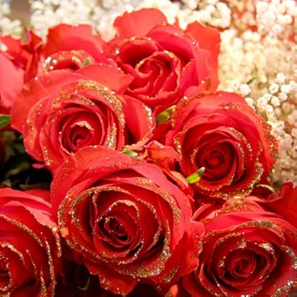 Amazon ゴールドラメ付き赤薔薇 60本の花束 キラキラ白いかすみ草付 レッドローズ 赤バラ 赤いばらをお誕生日 還暦のお祝いに Roseshop 花束 Amazon ゴールドラメ付き赤薔薇 60本の花束 キラキラ白いかすみ草付 レッドローズ 赤バラ 赤いばらをお誕生日 還暦のお祝いに Roseshop 花束
