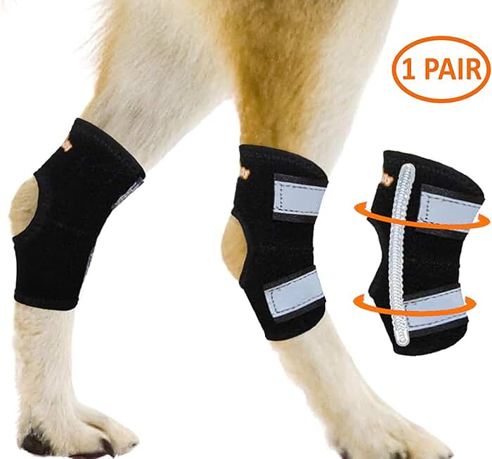 stifle brace for dogs