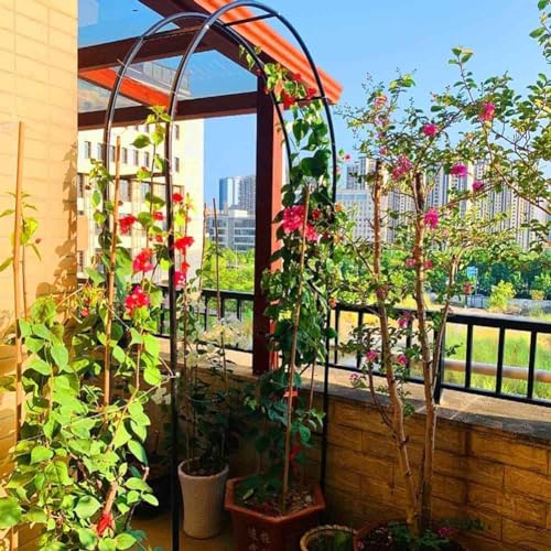 Arco da giardino per piante rampicanti e rose, robusto pergolato in acciaio per matrimonio, traliccio decorativo per esterni per migliorare la bellezza del giardino
