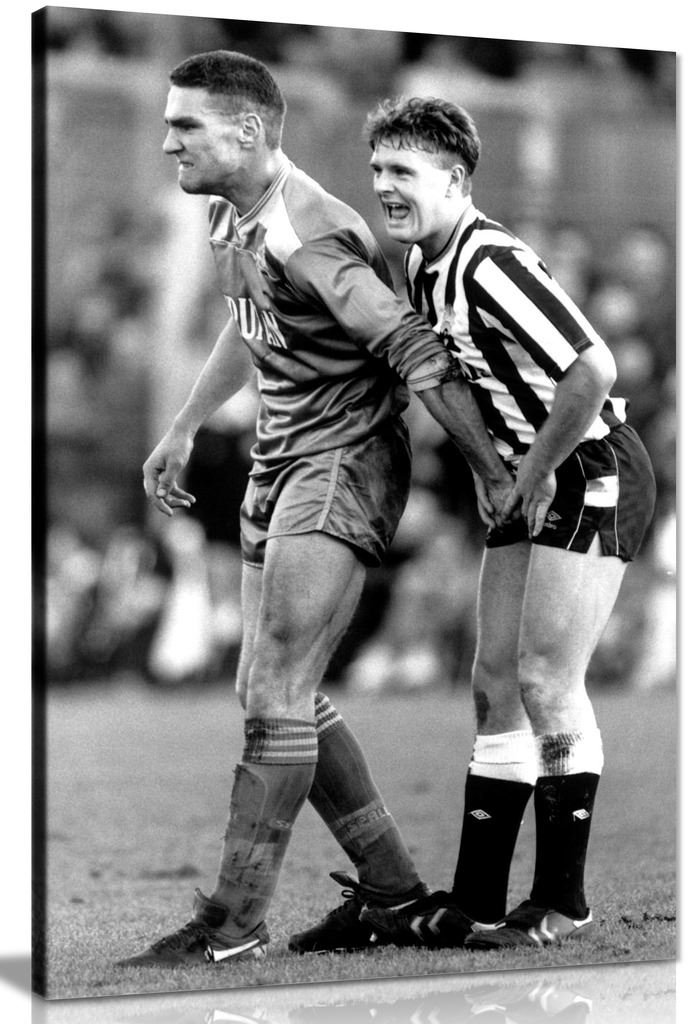 Panther Print Multicoloured Sports Football Vinnie Jones Gazza Canvas Wall Art Picture Print (24X16in)