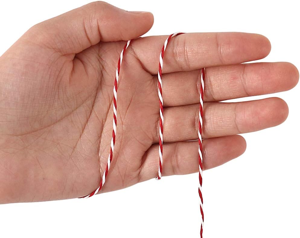 Tenn Well Natural Paper String, 328 Feet 2mm Twisted Craft Raffia Paper Ribbon for Gift Wrapping, Crafting, Packing, Crocheting : Everything Else