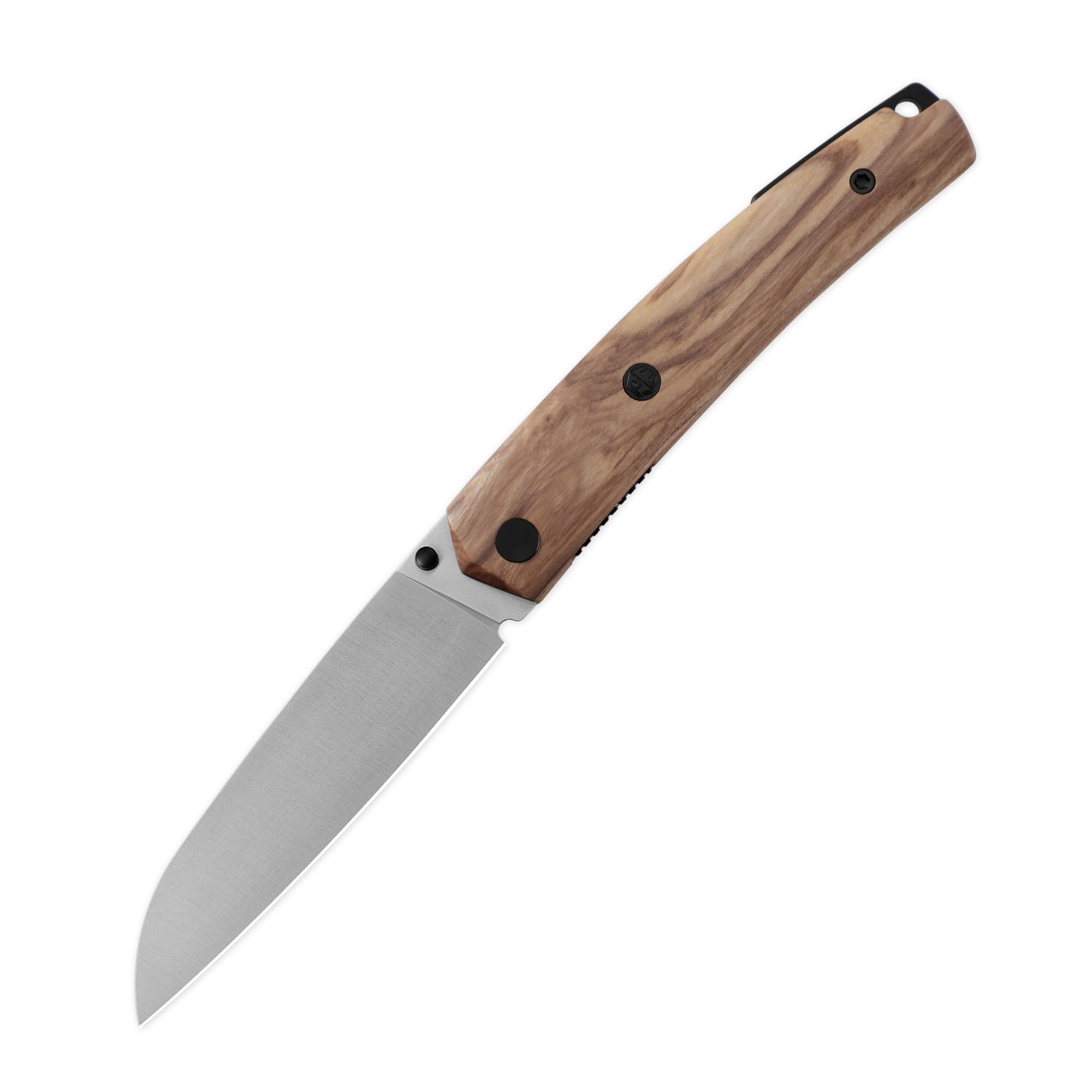 Amazon.com : Petrified fish PF719 Folding Knife,3.38