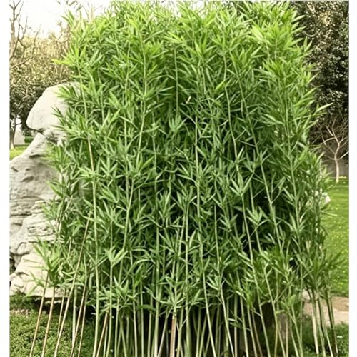 Piante artificiali di bambù per uso interno ed esterno, albero in seta sintetica con foglie per decorazione fai da te, divisorio da parete per privacy, paesaggistica e recinzione da giardino