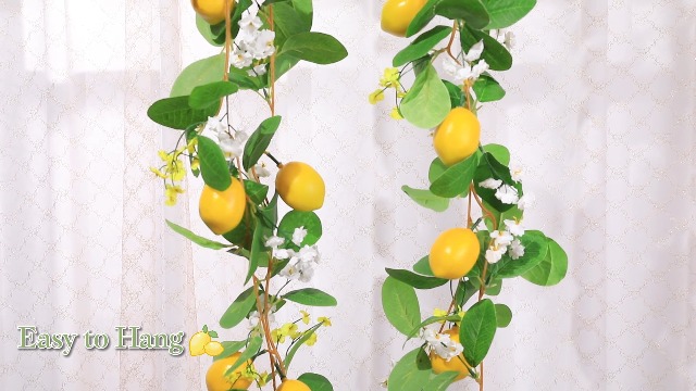 置物 remon 81GwhSSUWZL._UF350,350_QL80_.jpg