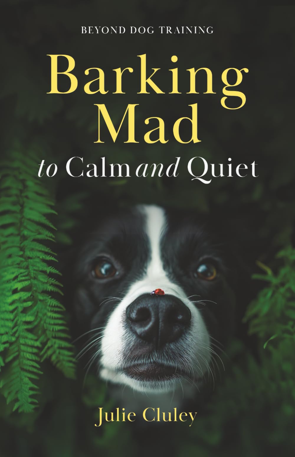 Barking Mad to Calm and Quiet: Beyond Dog Training