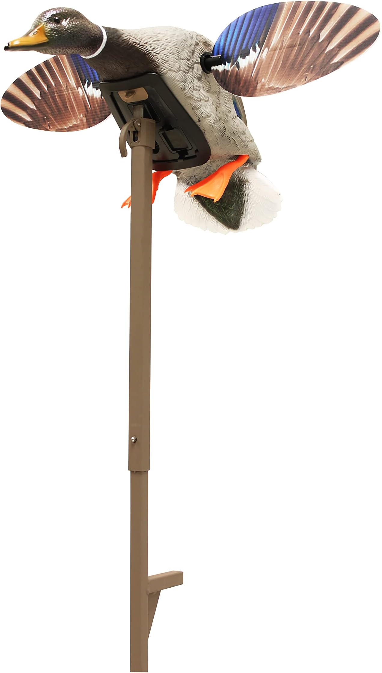 MOJO Outdoors ミニマガモドドレイク - プレミアム水鳥とアヒルのハンティングデコイ