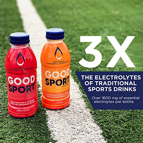 GoodSport® Electrolyte Sports Drink, Rapid & Long-lasting Hydration, 16.9. oz (12 Count) – Citrus