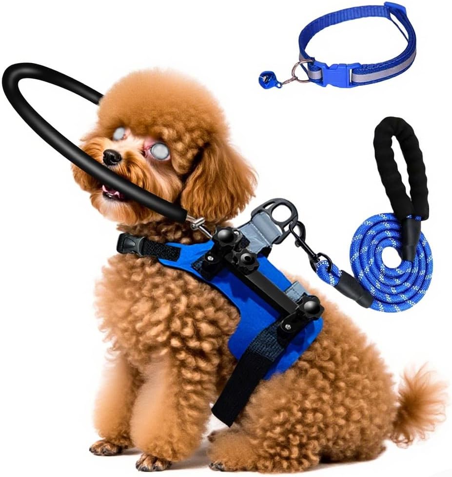 blind dog halo harness,protective halo dog collar with 5 ft leash & reflective collar,confidence building harness guiding device,blinddog accessories (s:recommand weight 9-22 lbs)
