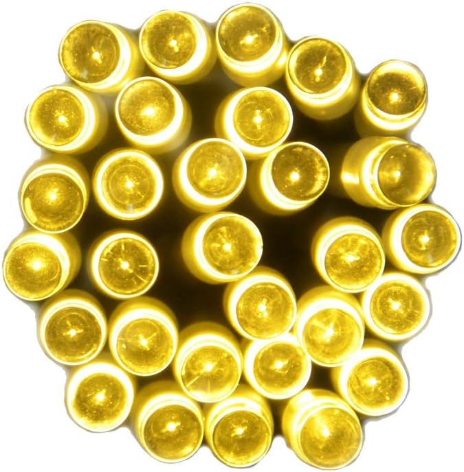 INST 30 Led Battery String Lights for Wedding, Christmas
