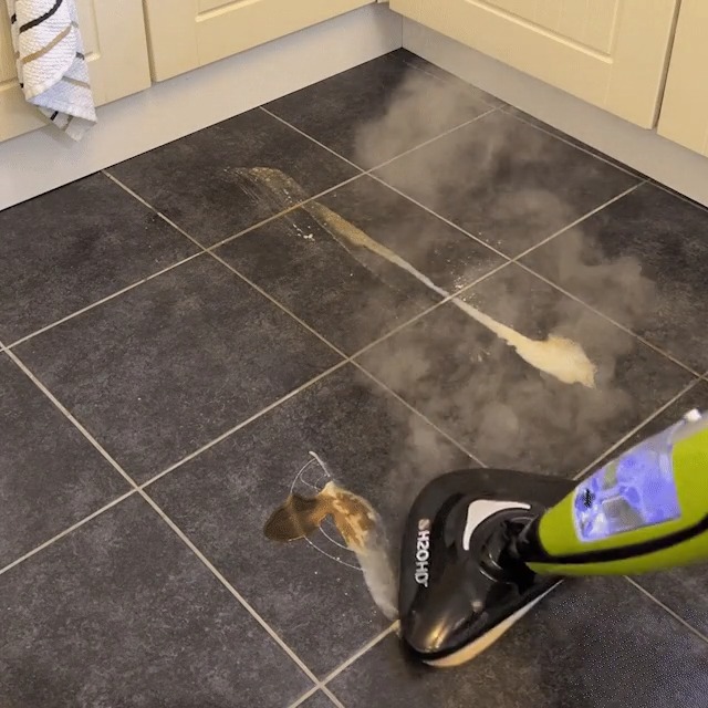 Amazon.com - H2O HD Steam Mop & Handheld Steam Cleaner | 3-in-1