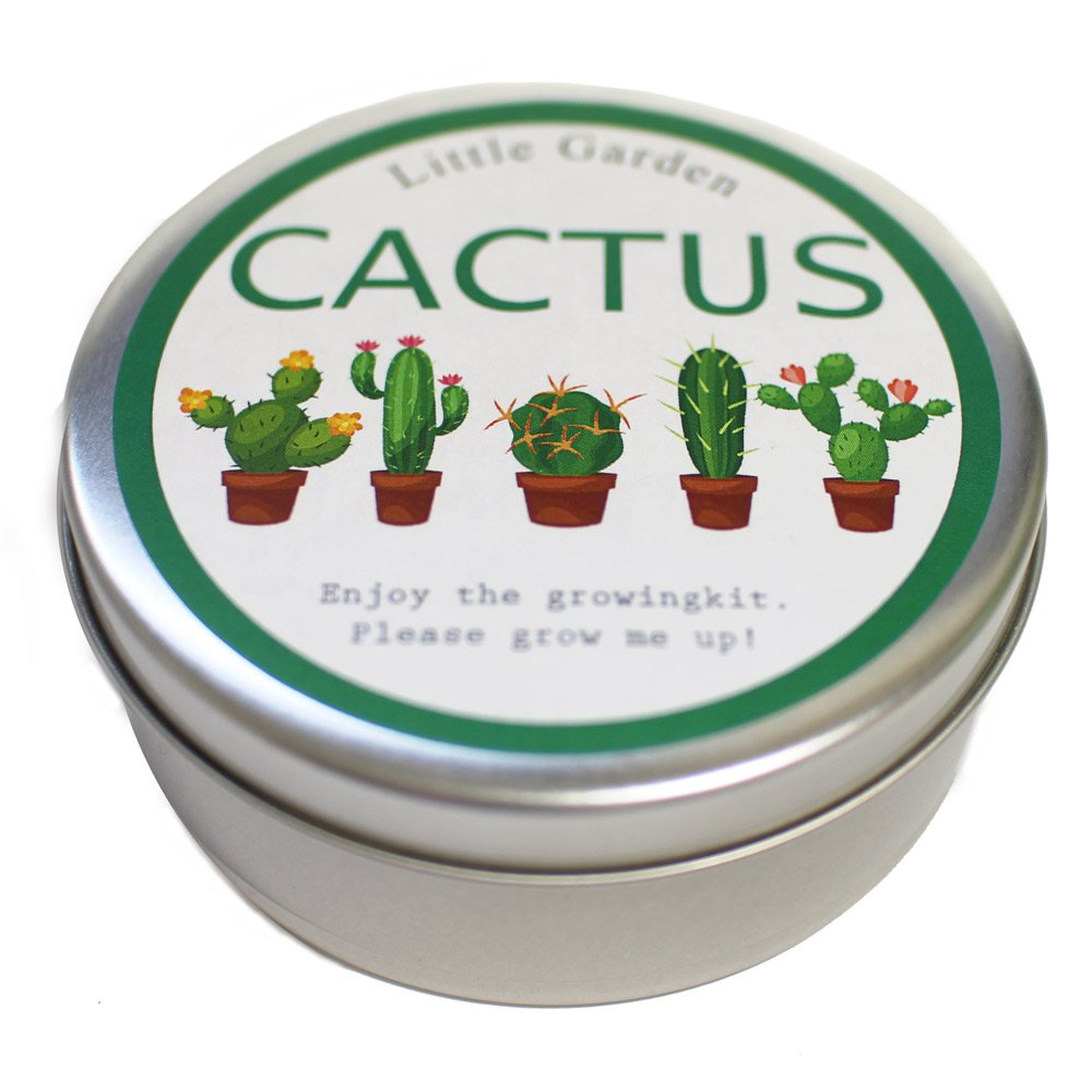 Amazon.co.jp: Nagakura Little Garden Cactus Mix : DIY, Tools & Garden